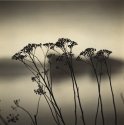 Two Harbors 2 (print)