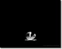 "Life"