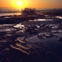 La Jolla Tide Pools