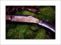 Iver Johnson Champion