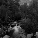 North Lake Creek