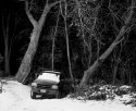 A Truck Among Trees