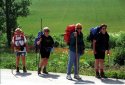 Walkers On Camino De Santiago