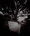 Pinhole - Bob Jones Bike Trail