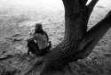 Tree & A Cathat