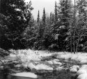 Halsey Lake Outlet North