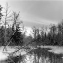 Halsey Lake Outlet South 2nd View