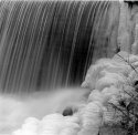 Millpond Reprint And New Crop