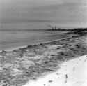 Beach And Power Plant