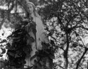 Madonna Enrobed