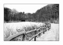 Winter Road