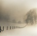 Fence, Mist And Snow
