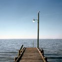Dock With Seagull