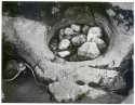 Thorns Gill