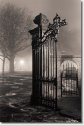 Haarlem By Night