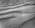 Grain