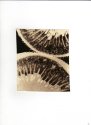 Photogram