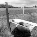 Self-portrait With Bathtub