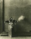 The Mask