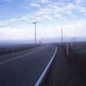 California Fog E6 #17