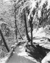 South Chagrin Snow, Cleveland Ohio