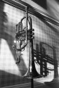 Shimmering Cornet