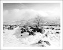 Ingleborough