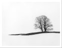 The Knolls