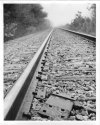 Tracks In Fog