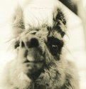 Are You Lookin' At Me?