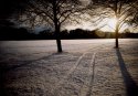 Snow