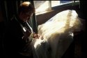 Senora Mending Curtain