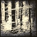 Fomatone Grove