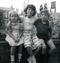 The Three Of Them