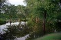 And The Flood Waters Came