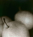 Pears