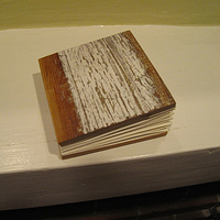 Lith Accordion Book