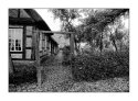 The Garden