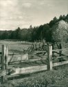 Farm, Swanzey Nh