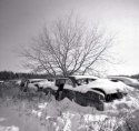 Derelict