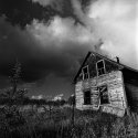 Homestead