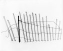 Snow Fence