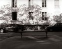 Paris Street