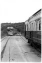 Forgotten History, Rosewood