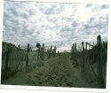 Welcome To The Beach