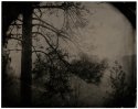 Kerik's Backyard - Placerville, Ca