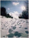 Gradus Ad Parnassum / Black Sun