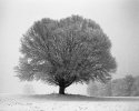 Snow In Atlanta!