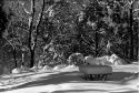 Picnic Canceled!