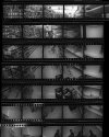 Single Image Contact Sheet